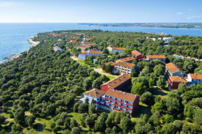CIS01081 Lanterna Sunny Resort by Valamar, Porec-Standard Plus A14SB -44 m2